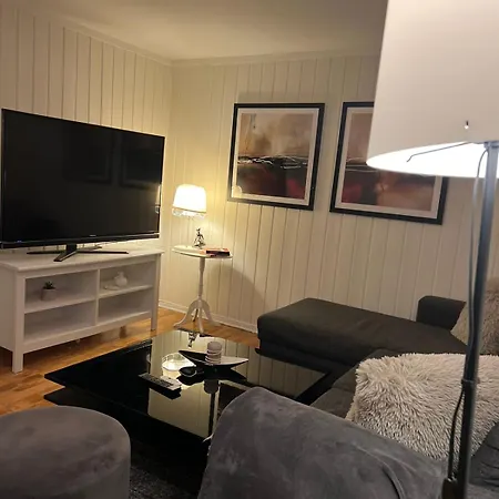 Koselig Sokkelleilighet Pa Hamar! *